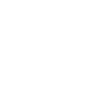 business-model-desk-icon2 business-model-desk-icon2